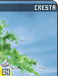 cresta04.gif