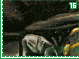 alucard16