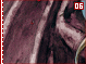 annette06.gif