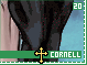 cornell20.gif