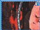 crimson01.gif