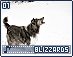 blizzards01