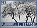 blizzards02