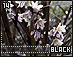 black14.gif