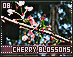 cherryblossoms08.gif