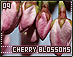 cherryblossoms09.gif