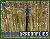dragonflies11.gif
