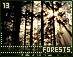 forests13.gif