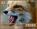 foxes02.gif