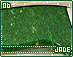 jade06.gif