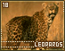 leopards18.gif