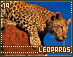 leopards19.gif