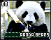 pandabears08.gif