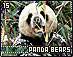 pandabears15.gif