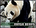 pandabears19.gif