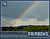 rainbows14.gif