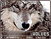 wolves13.gif