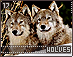 wolves17.gif