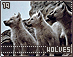 wolves19.gif