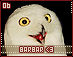 member06.gif