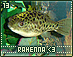 member13.gif