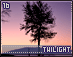 twilight16