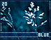 blue20.gif