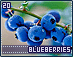 blueberries20.gif