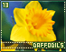 daffodils13.gif