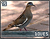 doves15.gif