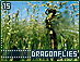 dragonflies15.gif
