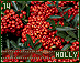 holly14.gif