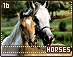 horses16.gif