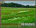 meadows11.gif