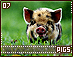 pigs07.gif