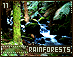 rainforests11.gif