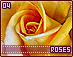 roses04.gif