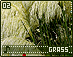 grass02.gif