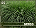 grass05.gif