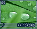 raindrops05.gif