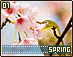 spring01.gif