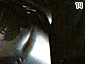 fenrir14