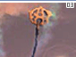 peace03.gif