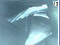 always10.gif