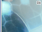 bearers06_double.gif