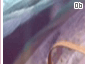 hearts06_double.gif