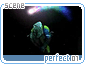 perfect01.gif