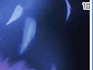 promise10.gif