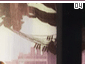 royalty04.gif